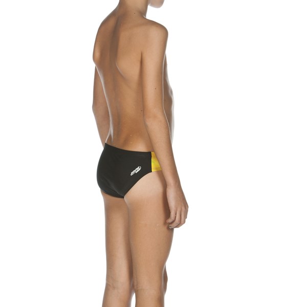 Arena Brasil Junior Brief