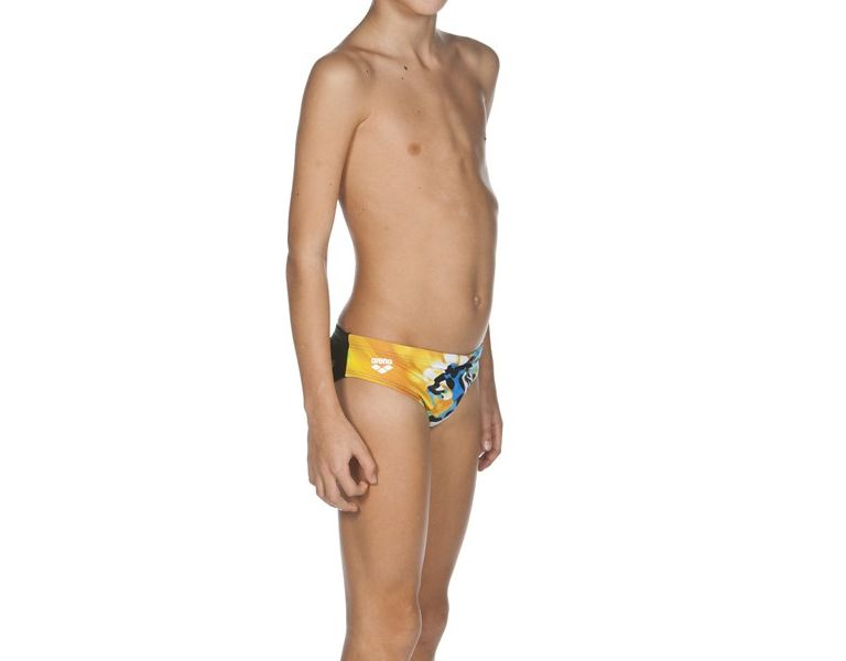 Arena Brasil Junior Brief